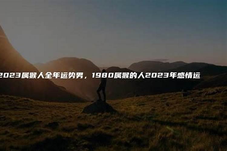 1980年属猴人命运 1980年属猴人感情运势