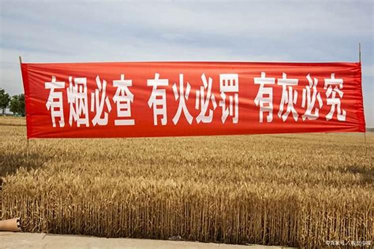重阳节为什么又叫老人节 重阳节又叫老人节原因解析