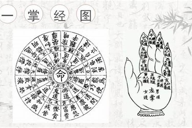 1957年4月15日11时出生,女,请帮忙排下八字并做具体解说