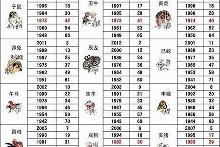 属猪53岁有什么灾难