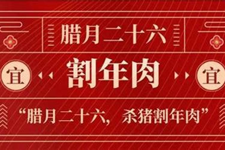 属猪的最忌讳哪个月出生