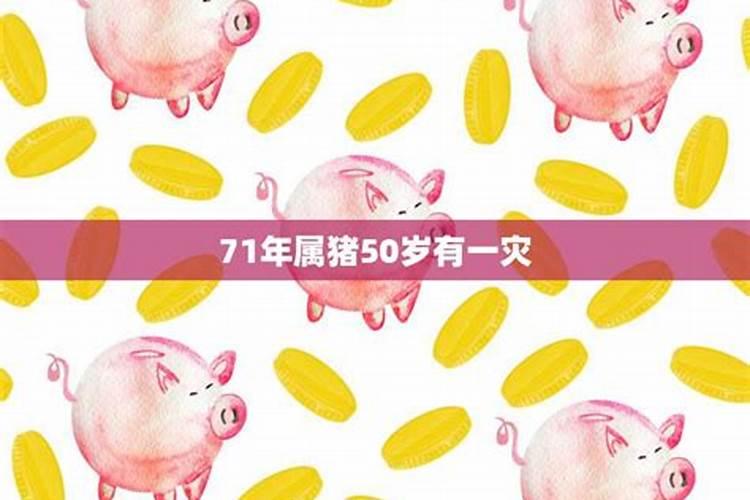 71年属猪50岁以后的命运 命中有哪三劫？