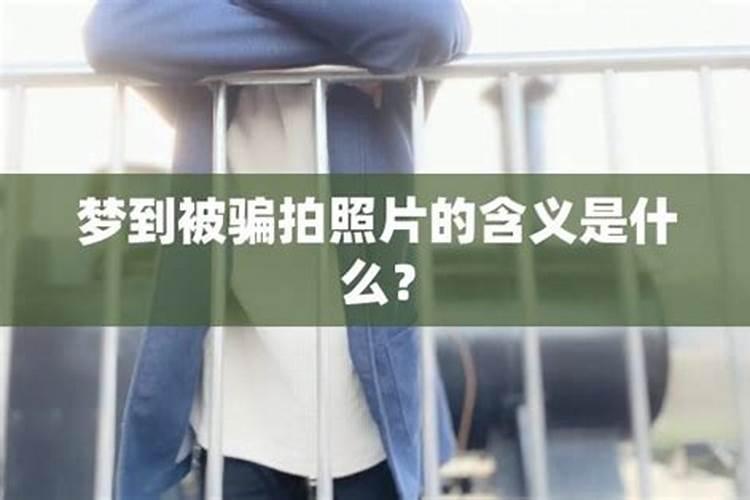 龙年的资料