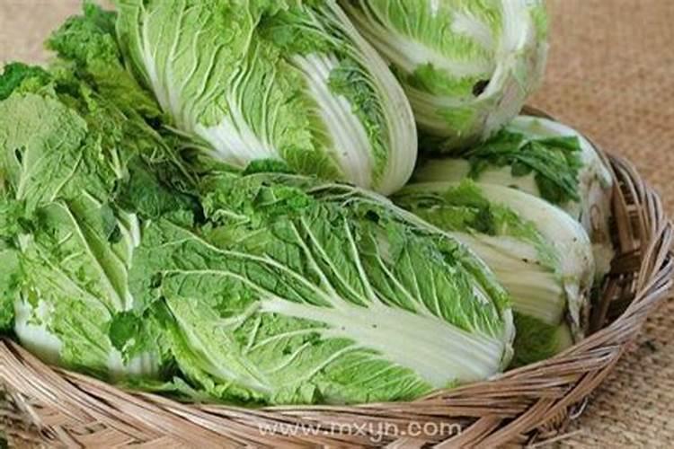 梦见白菜是什么意思有什么预兆