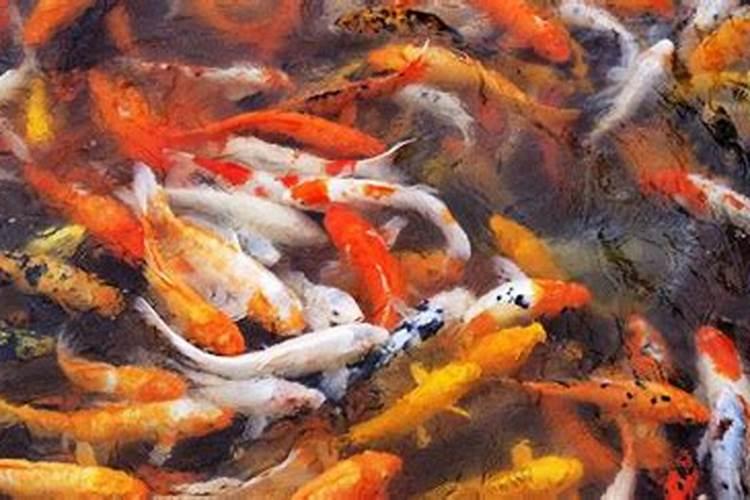 春节恩施适合旅游吗