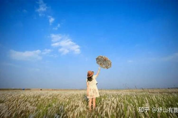梦见过年了邻居过来家里串门