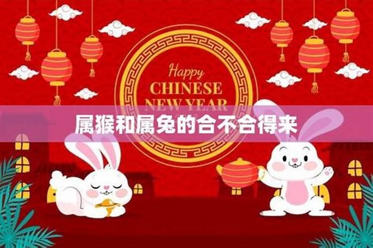 属兔的女人嫁给属猴的怎么样 属兔女跟属猴女合不合