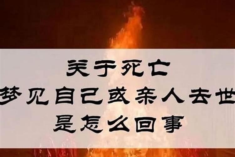 梦见儿子被蛇咬了是什么征兆