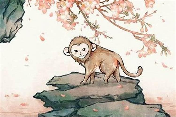 80年属猴一生三大难,1980年猴晚年命运80年属猴人一生的命运