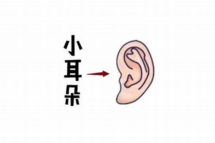 面相分析女人耳朵小的命运好不好？