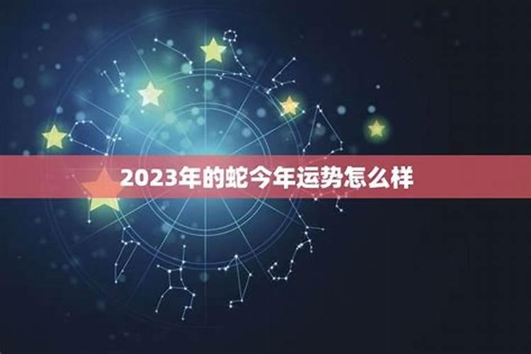 什么八字是仙人下凡