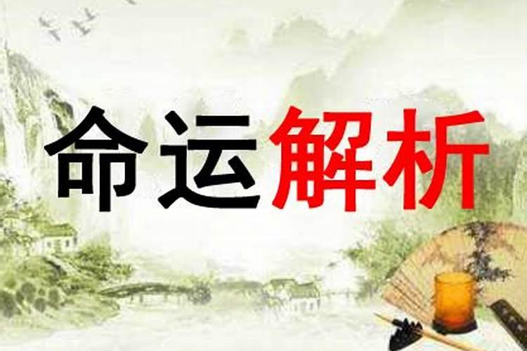 80年属猴2024年运势每月运程