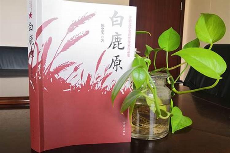 白鹿原的经典语录