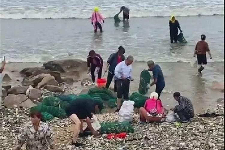 梦见大海退潮捡海鲜是什么意思
