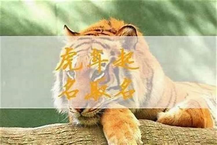 属虎宝宝命里缺水取什么名字好虎年缺水男孩起名