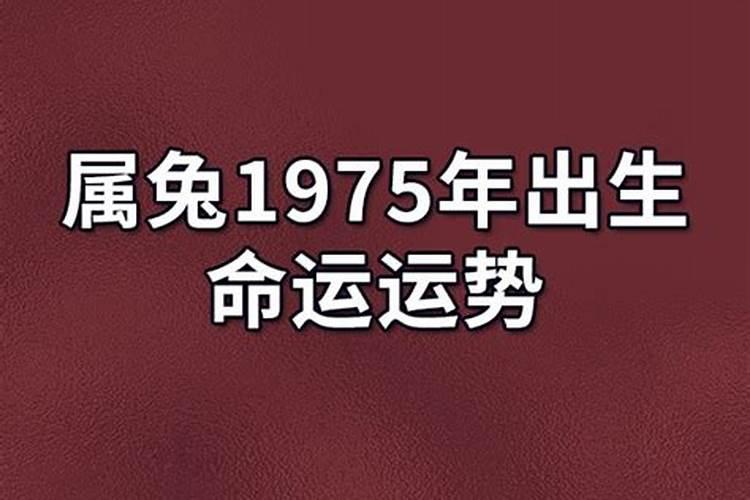 85年牛2025年运势及运程