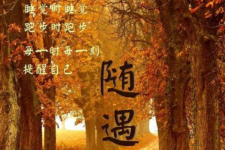 结婚后事事都不如意,怎么办？