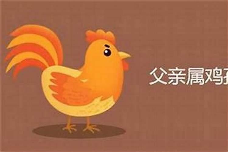 2018年2月9日出生的宝宝属什么
