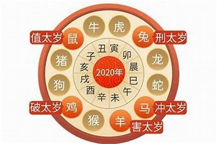 2001年属蛇女士[24岁]2025年运势透视,月月攻略助你前行
