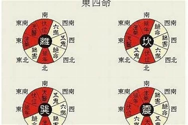 东南西北命分别是什么？