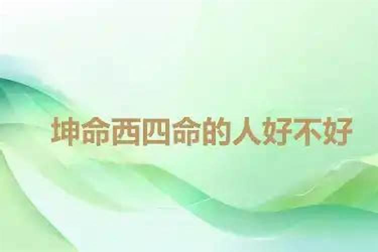 麻烦大师算八字(100分,回答好的再加分)