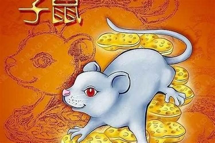 2024属鼠今年运气怎么样