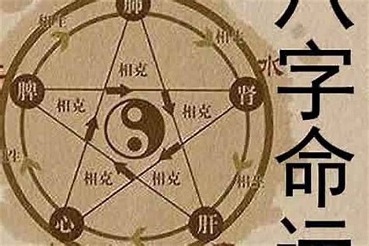1979年正月初五出生属相,1979年正月初五是什么属相