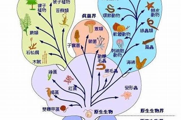 今年滨海新区汉沽区正月十五有灯吗？