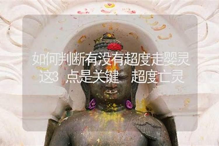 教你如何看自家风水？