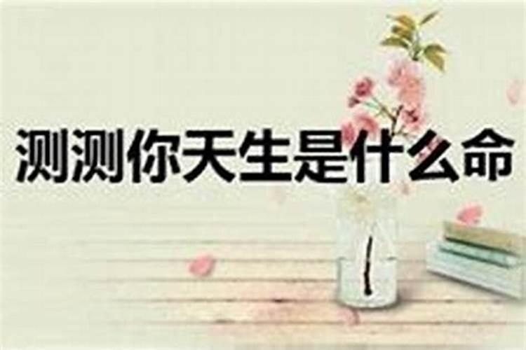 丧葬守哑口的人叫什么