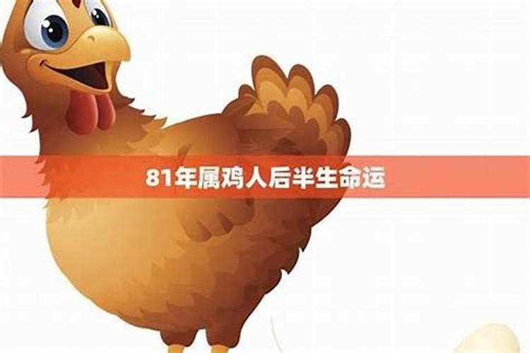 81年属鸡人在2025年的全年运势