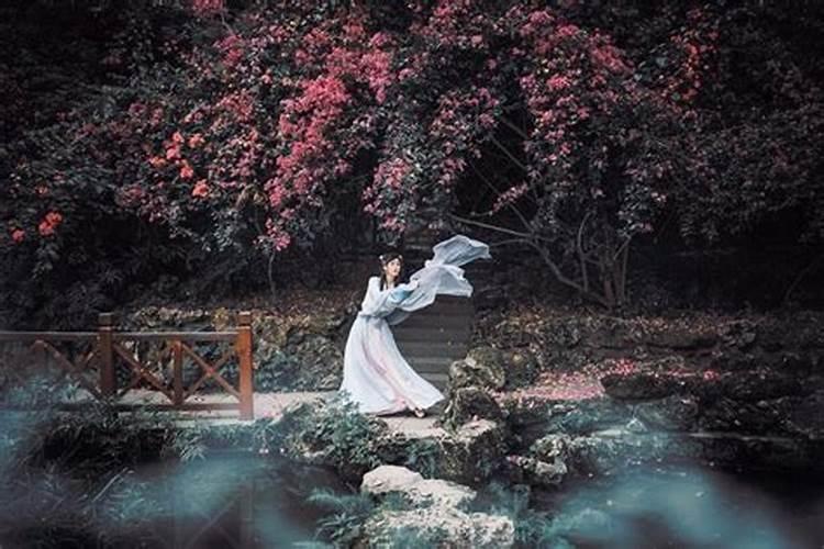 梦见家人全死了的预兆