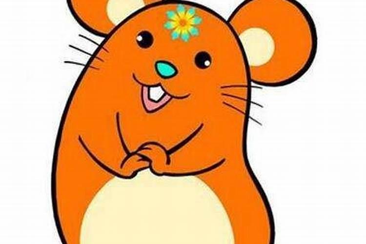 2021年腊月鼠宝宝出生好不好 腊月哪天出生最好命？