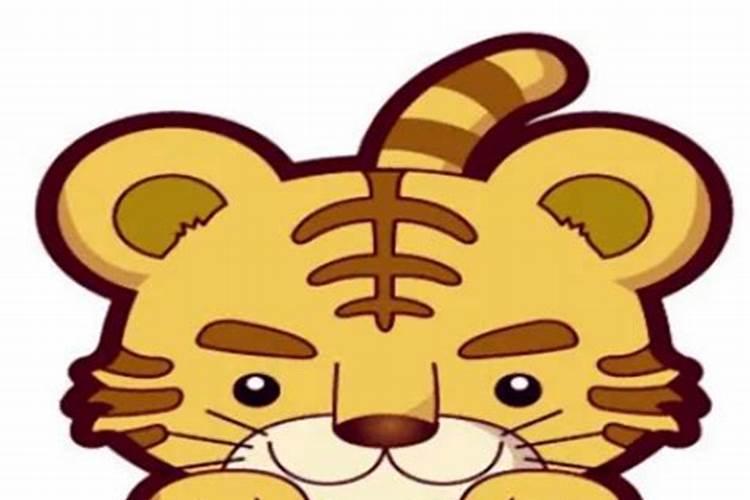 十二生肖同属相合婚吗？
