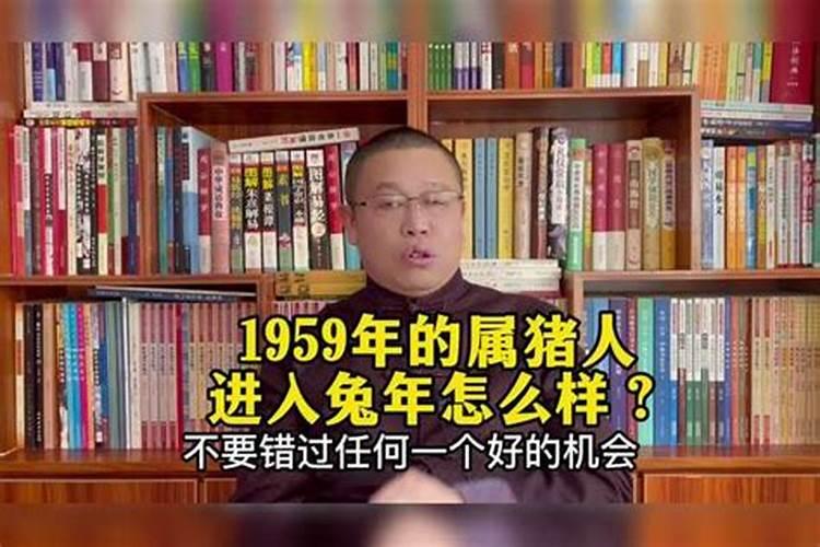 1959年属猪2024年运势及运程详解 59年属猪人2024年龙年每月运程百度...