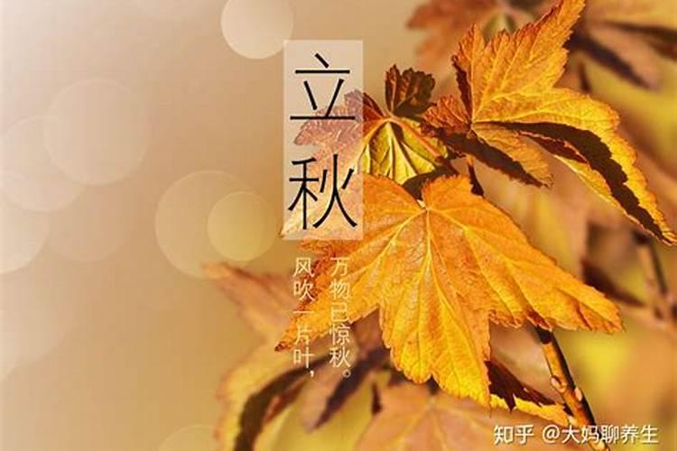 什么样的家居风水对女主人比较好