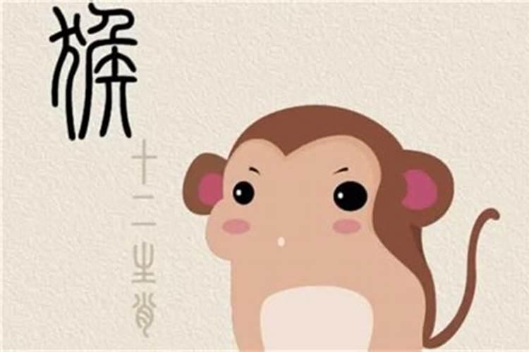 1980年属猴人终身运程
