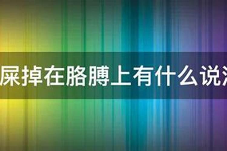 鸟屎掉女人左手臂上有什么预兆？