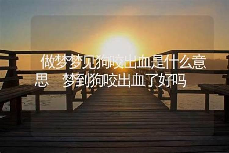 已婚女人梦到狗好不好解梦