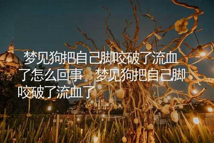 梦见自己脚被狗咬出血