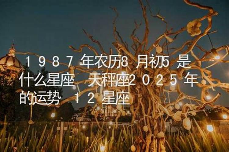 请高手解答八字农历一九八七年八月初一零晨一点？？