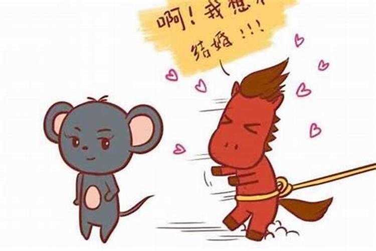 鼠和狗的属相适合做夫妻吗 鼠狗夫妻要注意什么？