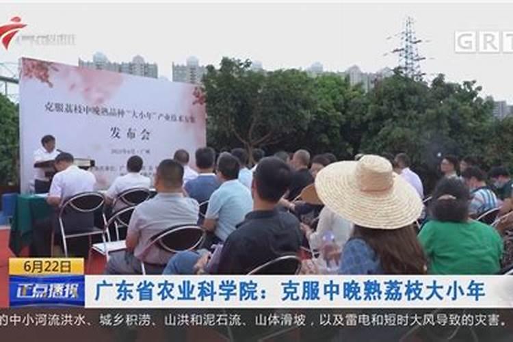 广东2010高考五大变化 三成以上考生能上本科