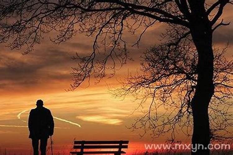 梦见死去很多年的父亲,又死了,然后我们参加他的葬礼。还送到墓地去...