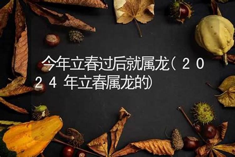 立春后出生属龙的命理解析