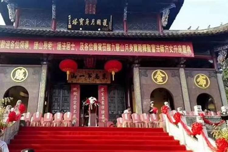 属兔在2025蛇年的运气如何