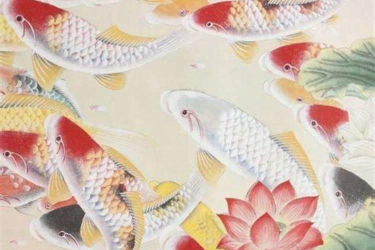 怀孕梦见鱼是什么意思？