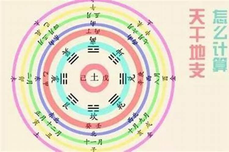 不同年份出生的属猪男女2024年运程