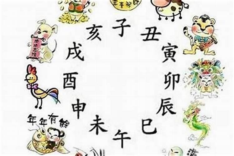 生肖猪1995年2025年运势如何 生肖猪1995年2025年全年运势