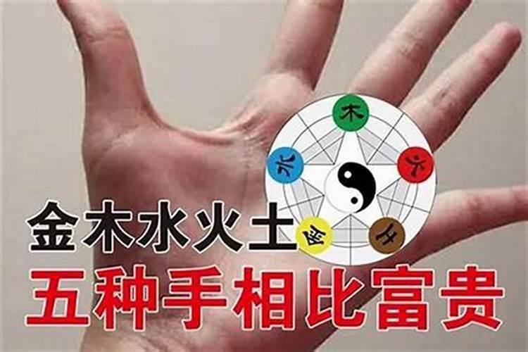 我是什么命啊？